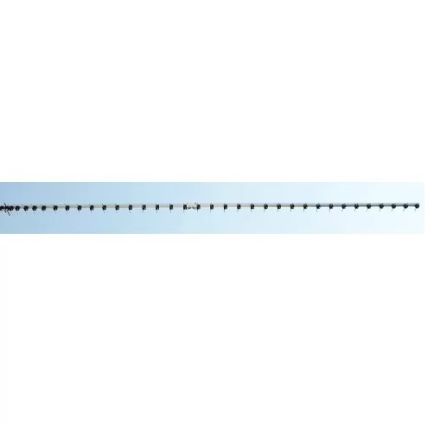 DUAL 23CM36DX - 23cm 36EL Low Noise Antenna 